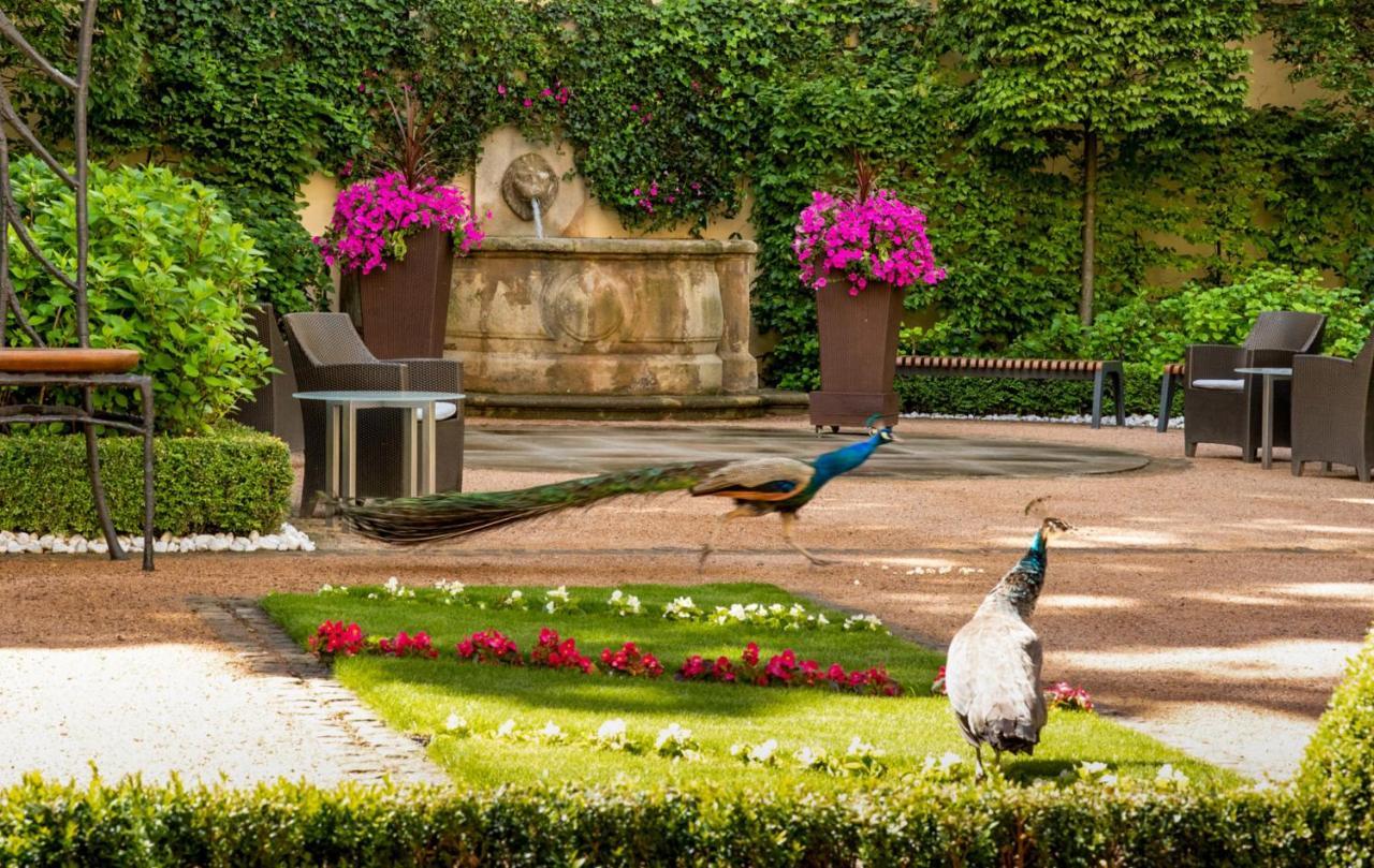 布拉格马克大酒店-立鼎世酒店集团 外观 照片 Peacocks in the garden